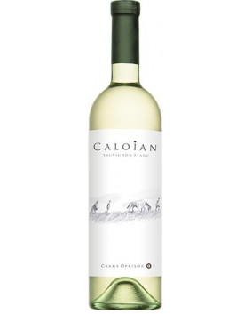 Caloian Sauvignon Blanc 2022 | Crama Oprisor | Plaiurile Drancei